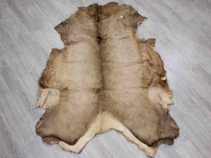 Elk Hide: Gallery Item elk skins