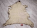 Elk Hide: Gallery Item - 43-G3258 (Y2KXX)