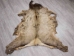 Elk Hide: Gallery Item - 43-G3258 (Y2KXX)
