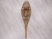 Used Snowshoe: Single with Harness: Gallery Item - 47-90-G3381 (Y2I)