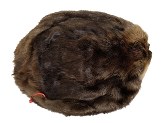 Extra-Wide Beaver Skin: #1: Large: Gallery Item extra wide beaver skins