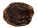 Extra-Wide Beaver Skin: #1: Large: Gallery Item - 50-1-L-G2480 (Y1L)