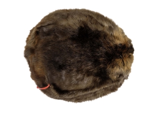 Extra-Wide Beaver Skin: #1: Large: Gallery Item extra wide beaver skins