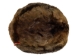 Extra-Wide Beaver Skin: #1: Large: Gallery Item - 50-1-L-G2483 (Y1L)