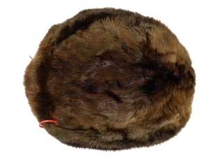 Extra-Wide Beaver Skin: #1: Large: Gallery Item extra wide beaver skins