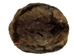 Extra-Wide Beaver Skin: #1: Large: Gallery Item - 50-1-L-G2483 (Y1E)