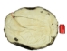 Extra-Wide Beaver Skin: #1: Large: Gallery Item - 50-1-L-G2484 (Y1L)