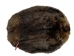 Extra-Wide Beaver Skin: #1: Large: Gallery Item - 50-1-L-G2484 (Y1L)