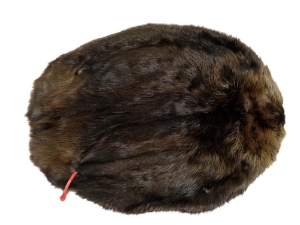 Extra-Wide Beaver Skin: #1: Large: Gallery Item extra wide beaver skins