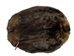 Extra-Wide Beaver Skin: #1: Large: Gallery Item - 50-1-L-G2484 (Y1E)