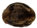 Extra-Wide Beaver Skin: #1: Large: Gallery Item - 50-1-L-G2485 (Y1L)