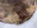 Extra-Wide Beaver Skin: #1: Large: Gallery Item - 50-1-L-G3182 (Y1LRL)