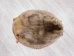 Extra-Wide Beaver Skin: #1: Large: Gallery Item - 50-1-L-G3183 (Y1LRL)