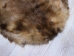 Extra-Wide Beaver Skin: #1: Large: Gallery Item - 50-1-L-G3184 (Y1LRL)