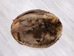 Extra-Wide Beaver Skin: #1: Large: Gallery Item - 50-1-L-G3184 (Y1E)