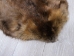 Extra-Wide Beaver Skin: #1: Large: Gallery Item - 50-1-L-G3186 (Y1LRL)