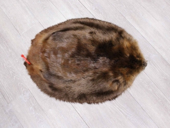 Extra-Wide Beaver Skin: #1: Large: Gallery Item extra wide beaver skins