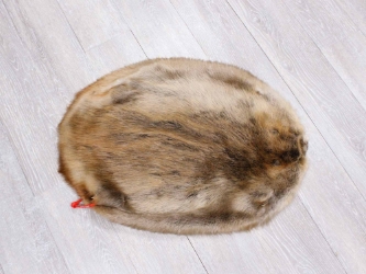 Extra-Wide Beaver Skin: #1: Large: Gallery Item extra wide beaver skins