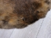 Extra-Wide Beaver Skin: #1: Large: Gallery Item - 50-1-L-G3190 (Y1LRL)