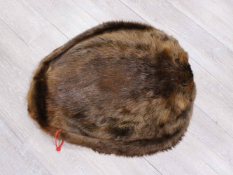 Extra-Wide Beaver Skin: #1: Large: Gallery Item extra wide beaver skins