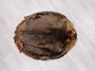 Extra-Wide Beaver Skin: #1: Large: Gallery Item extra wide beaver skins
