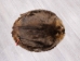 Extra-Wide Beaver Skin: #1: Large: Gallery Item - 50-1-L-G3191 (Y1LRL)