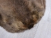 Extra-Wide Beaver Skin: #1: Large: Gallery Item - 50-1-L-G3193 (Y1LRL)