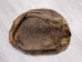 Extra-Wide Beaver Skin: #1: Large: Gallery Item - 50-1-L-G3193 (Y1LRL)