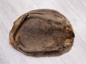 Extra-Wide Beaver Skin: #1: Large: Gallery Item extra wide beaver skins