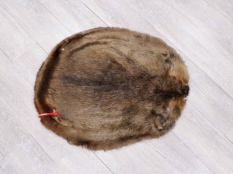 Extra-Wide Beaver Skin: #1: Large: Gallery Item extra wide beaver skins