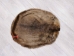 Extra-Wide Beaver Skin: #1: Large: Gallery Item - 50-1-L-G3194 (Y1LRL)