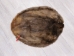 Extra-Wide Beaver Skin: #1: Large: Gallery Item - 50-1-L-G3195 (Y1LRL)