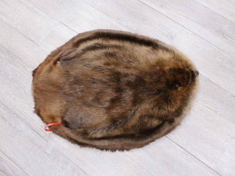 Extra-Wide Beaver Skin: #1: Large: Gallery Item extra wide beaver skins