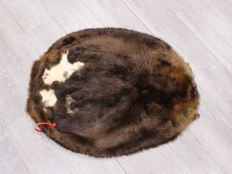 Extra-Wide Beaver Skin: #1: Large: Gallery Item extra wide beaver skins