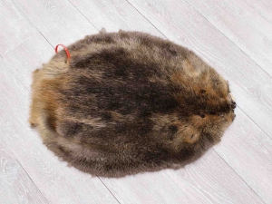 Beaver Skin: #1: Large Medium: Gallery Item 