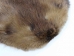 Beaver Skin: #1: Medium: Gallery Item - 50-1-M-G3234 (Y1LRL)