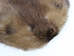 Beaver Skin: #1: Medium: Gallery Item - 50-1-M-G3234 (Y1E)