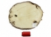 Beaver Skin: #1: Medium: Gallery Item - 50-1-M-G3235 (Y1LRL)