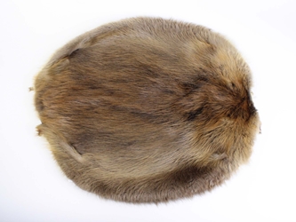 Beaver Skin: #1: Medium: Gallery Item beaver skins