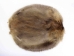 Beaver Skin: #1: Medium: Gallery Item - 50-1-M-G3235 (Y1LRL)