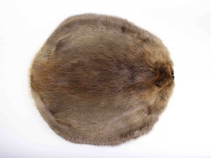 Beaver Skin: #1: Medium: Gallery Item beaver skins