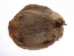Beaver Skin: #1: Medium: Gallery Item - 50-1-M-G3242 (Y1L)