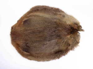 Beaver Skin: #1: Medium: Gallery Item beaver skins