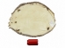 Beaver Skin: #1: Medium: Gallery Item - 50-1-M-G3243 (Y1L)