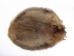 Beaver Skin: #1: Medium: Gallery Item - 50-1-M-G3243 (Y1L)