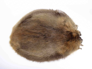 Beaver Skin: #1: Medium: Gallery Item beaver skins