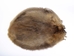 Beaver Skin: #1: Medium: Gallery Item - 50-1-M-G3243 (Y1E)