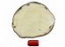 Beaver Skin: #1: Medium: Gallery Item - 50-1-M-G3244 (Y1L)