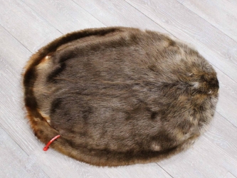 Extra-Wide Beaver Skin: #1: Extra-Large: Gallery Item extra wide beaver skins, extra large beaver skins