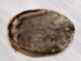 Extra-Wide Beaver Skin: #1: Extra-Large: Gallery Item - 50-1-XL-G3202 (Y1L)
